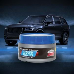 Autokit Çizik Alıcı Pasta Cila