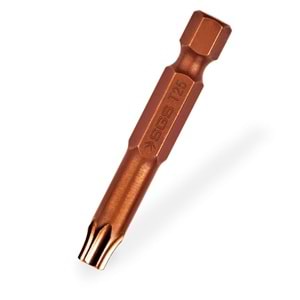 SGS Bits Uç Torks T30x150mm Buldeks