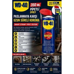 WD40 Pas Sökücü ve Yağlayıcı Sprey Kobra Başlık 350ml