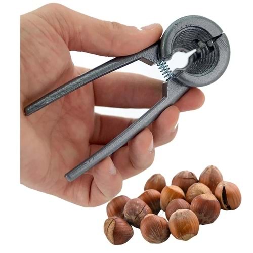 Real Özs Fındık Kıracağı