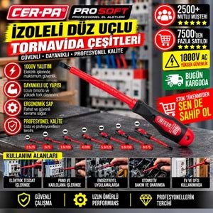 Cer-pa Prosoft İzoleli Düz Uçlu Tornavida 5.5x125